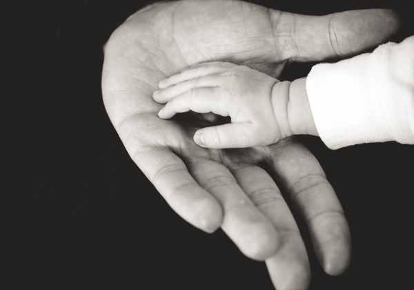 איך בוחרים סקסולוגית?